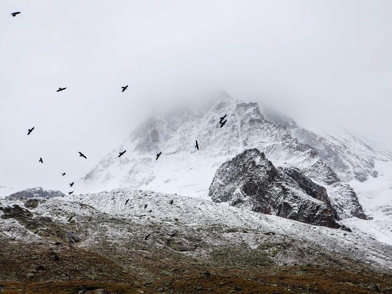 sudoku x-wing screenshot 2